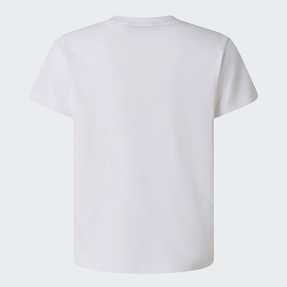 The North Face JR LIQUID LOGO REG dečija majica - slika 8