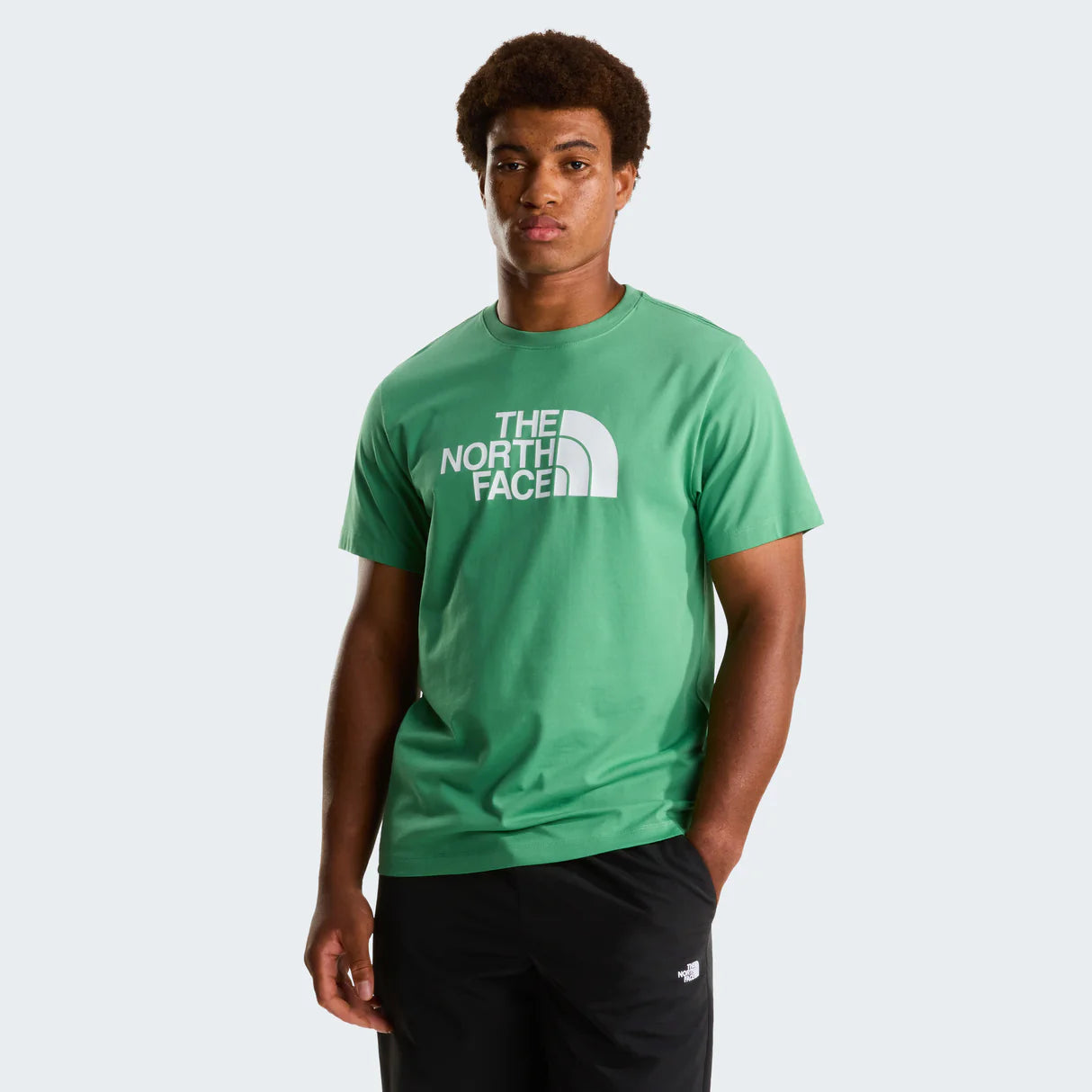 The North Face majica - slika 3